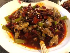 -福苗小骆驼烧烤(莲湖路店)