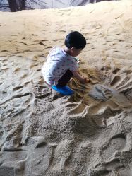 -恐龙探索乐园(磁器口店)