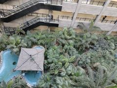 -黑龙江中医药大学附属第一医院