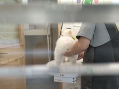 -帕帕拉兹宠物(亚洲旗舰店)