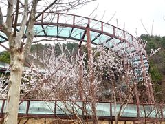 -蓟州溶洞风景区