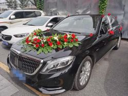 -蚂蚁婚车