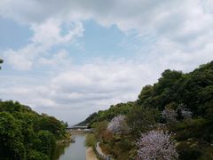 -广州市帽峰山景区