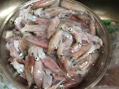 -浪琴湾度假村