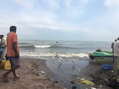 -尼甘布海鲜市场