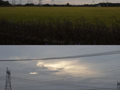 -嘉北郊野公园