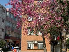 -广东外语外贸大学(白云山校区)