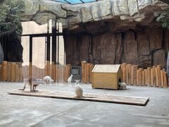 -鄂尔多斯野生动物园