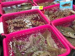 -春园海鲜广场D区6号(钟姐海鲜加工店)