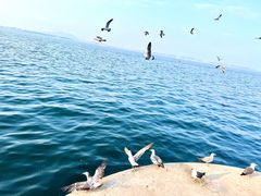 -大连海昌东方水城