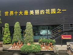 -东芭乐园