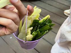 -正佳雨林生态植物园