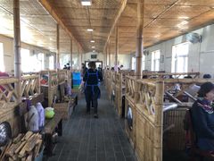 大堂-大鹅岛灶台鱼·铁锅炖(水库路店)