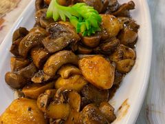 -椿记烧鹅(叠彩店)