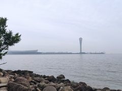 -上海吴淞炮台湾国家湿地公园