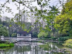 -杭州植物园