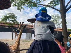 -灵玲国际马戏城
