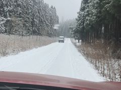 -武陵山森林公园