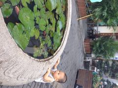 iphone_upload_pic-坂田手造文化街