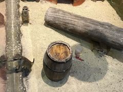 -Mr·Kuma酷么先生雪之乐园