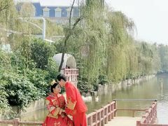 -百万葵园