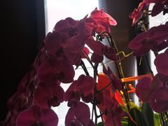 -喜湘宴·精致湖南菜(和平西桥店)