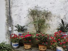 -绍兴鲁迅故里·沈园景区