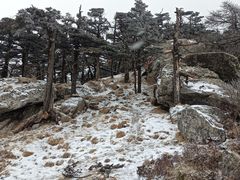 -秦岭风景区