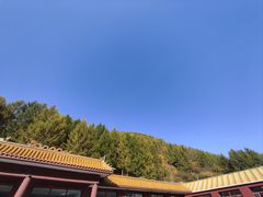 -塞罕坝国家级自然保护区