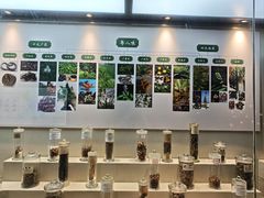 -广东中医药博物馆