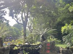 -海口火山口国家地质公园