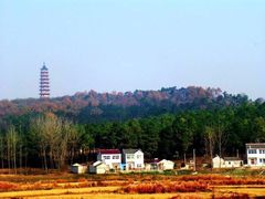 -恋山坝上草原