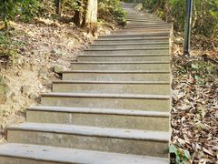 -广州市白云山风景名胜区