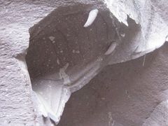 -蛇蟠岛