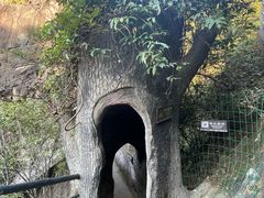 -天台山琼台仙谷景区