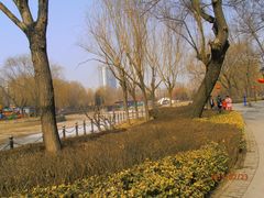 景点-康庄公园