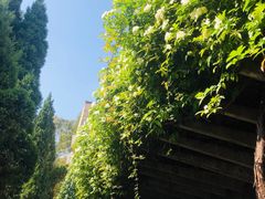 -四川大学(望江校区)