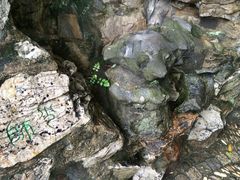 iphone_upload_pic-蠡湖大桥公园