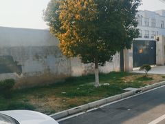 -安飞驰驾校·学车连锁(金高店)