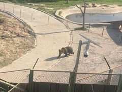 -青藏高原野生动物园