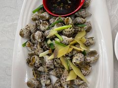 盐水花螺-沈家门小海鲜