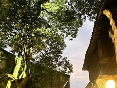 -乌镇景区