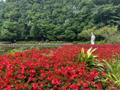-庐山风景区花径公园