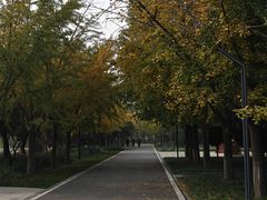 -石家庄市植物园