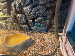-海合安青岛极地海洋公园