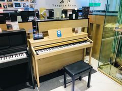 -柏斯琴行(汾阳店)