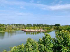 -东郊湿地公园