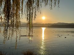 -洱海月湿地公园