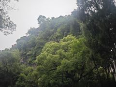 -桂林独秀峰王城景区