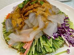 五彩大拉皮-宝发园名菜馆